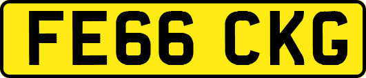 FE66CKG