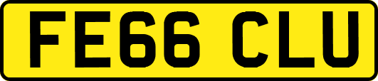 FE66CLU