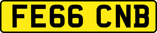FE66CNB