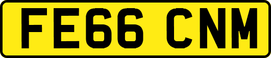 FE66CNM
