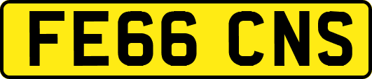 FE66CNS