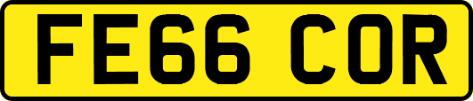 FE66COR