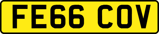 FE66COV