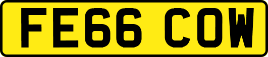 FE66COW