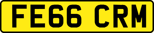 FE66CRM