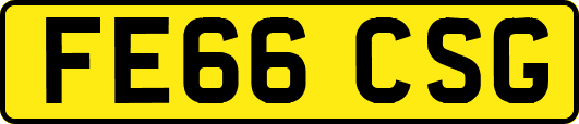 FE66CSG