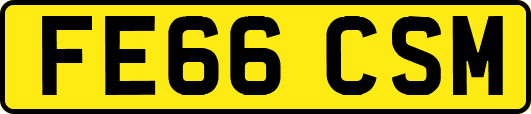 FE66CSM