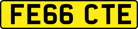 FE66CTE