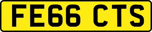FE66CTS
