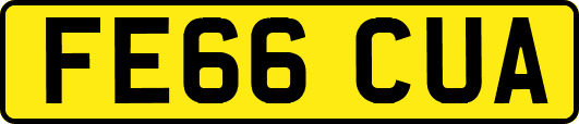 FE66CUA