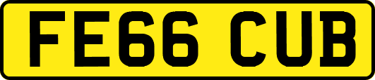 FE66CUB