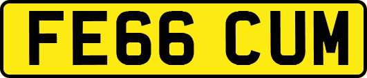 FE66CUM