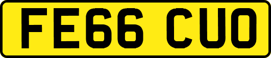 FE66CUO