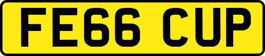 FE66CUP