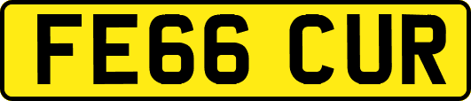 FE66CUR