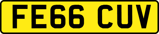 FE66CUV