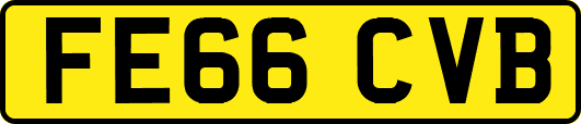 FE66CVB