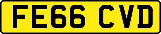 FE66CVD