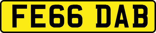FE66DAB