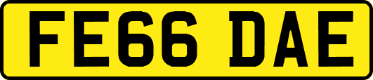 FE66DAE
