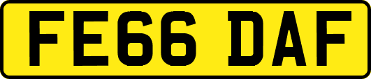 FE66DAF