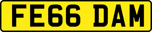 FE66DAM