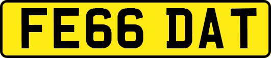 FE66DAT