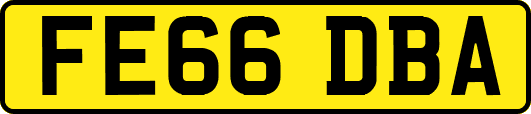 FE66DBA