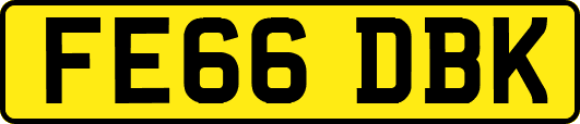 FE66DBK