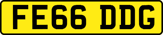 FE66DDG