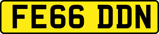 FE66DDN