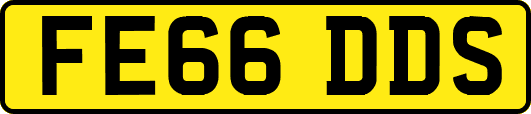 FE66DDS