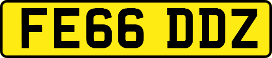 FE66DDZ