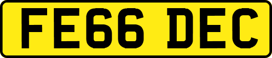 FE66DEC