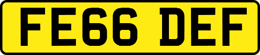FE66DEF