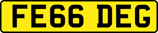 FE66DEG