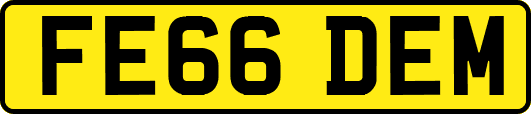 FE66DEM