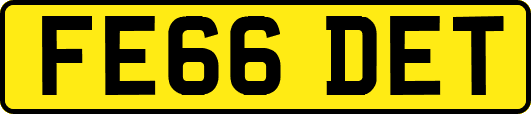 FE66DET