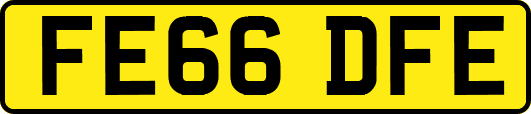 FE66DFE