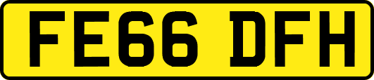 FE66DFH