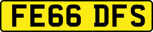 FE66DFS