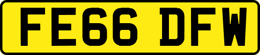FE66DFW
