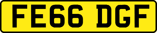 FE66DGF