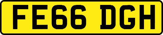FE66DGH