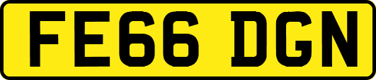 FE66DGN