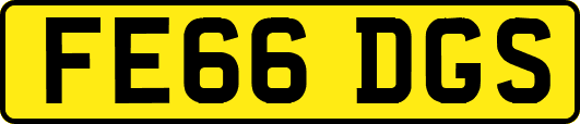 FE66DGS