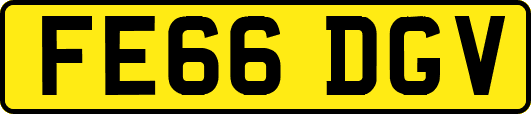 FE66DGV