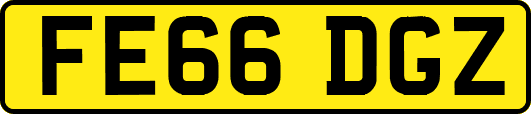 FE66DGZ