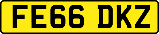 FE66DKZ