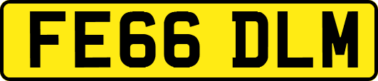 FE66DLM